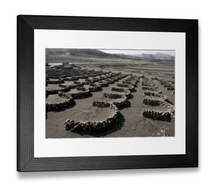 Framed Print : La Geria, Lanzarote Framed Print : La Geria, Lanzarote