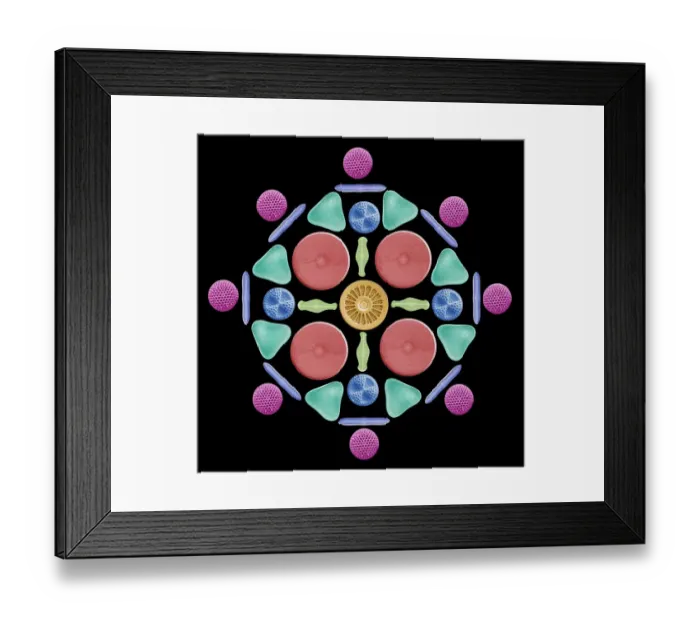 Framed Print : Diatoms and radiolaria, SEM Framed Print : Diatoms and radiolaria, SEM