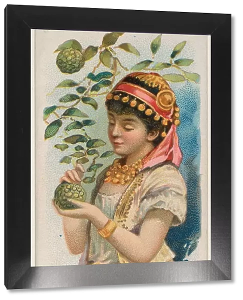 Sour Sop Trade Card 1891