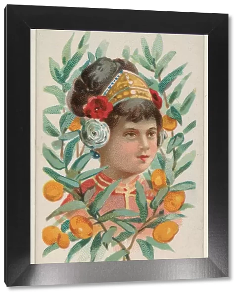 Mandarin Trade Card 1891