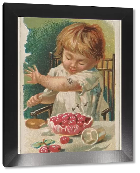 Raspberries Trade Card 1891