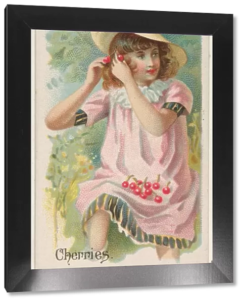 Cherries Trade Card 1891