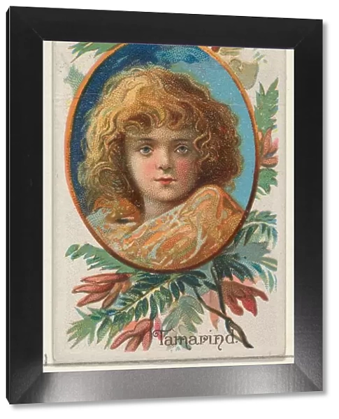 Tamarind Trade Card 1891