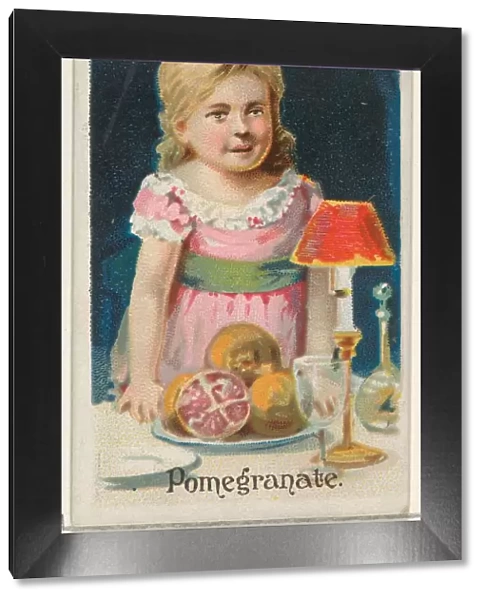 Pomegranate Trade Card 1891