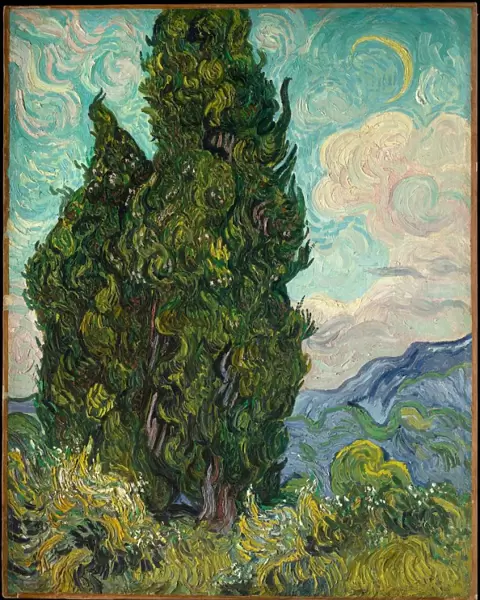 Cypresses 1889 Vincent van Gogh