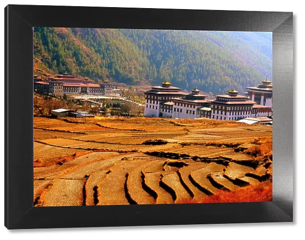 Terraced Fields and Government Buildings - Thimphu