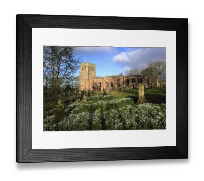 Framed Print : Spring Snowdrops, St Michaels parish church Brough Framed Print : Spring Snowdrops, St Michaels parish church Brough
