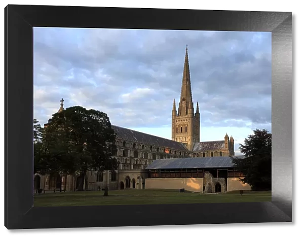 Norwich Cathedral, Norwich City, Norfolk County