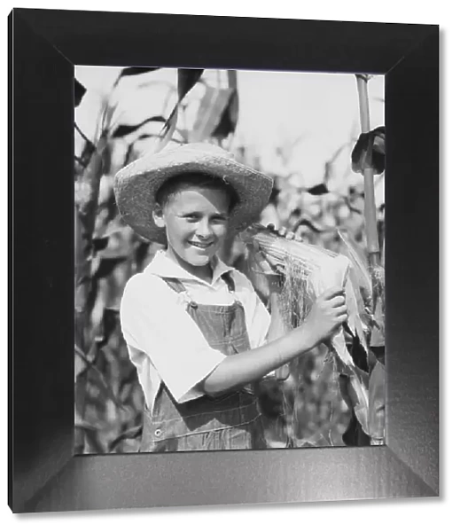 Teenage farm boy wearing bib overalls and straw hat, standing in corn field, holding corn cob