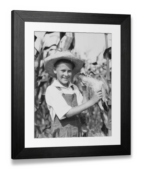 Framed Print : Teenage farm boy wearing bib overalls and straw hat, standing in corn field, holding corn cob Framed Print : Teenage farm boy wearing bib overalls and straw hat, standing in corn field, holding corn cob