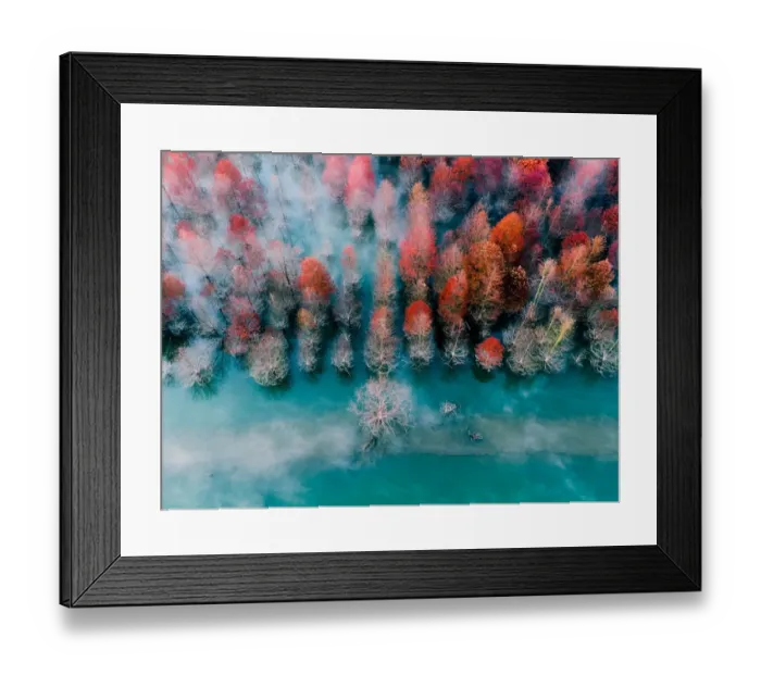 Framed Print : bird view of autumn leaves Framed Print : bird view of autumn leaves