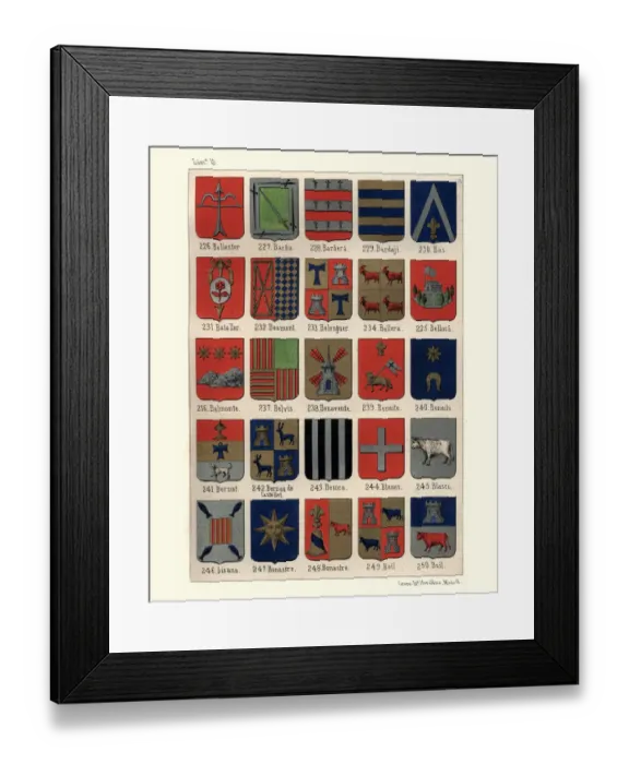 Framed Print : Heraldry, Coats of Arms of Spain Framed Print : Heraldry, Coats of Arms of Spain