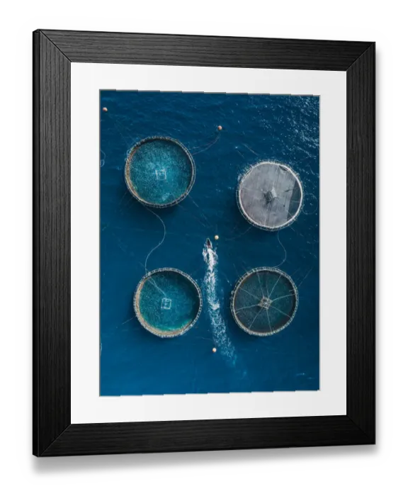 Framed Print : Boat inspecting a fish farm as seen from above, Lanzarote Framed Print : Boat inspecting a fish farm as seen from above, Lanzarote