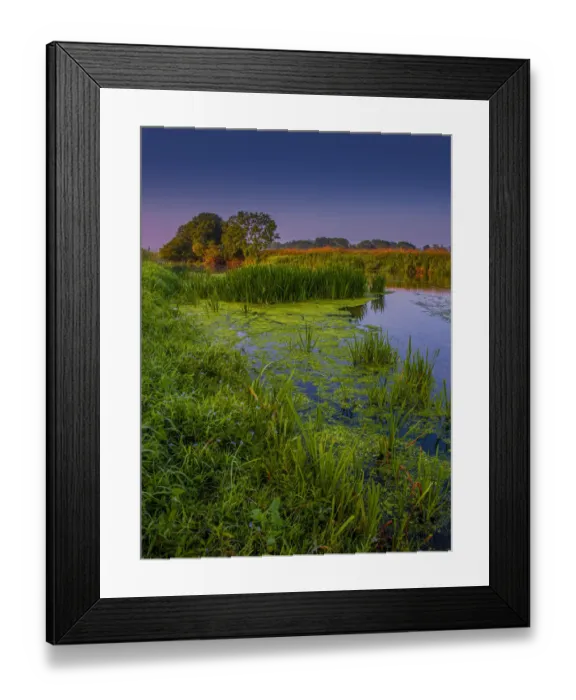 Framed Print : View of the Frome River near Wareham Dorset, England Framed Print : View of the Frome River near Wareham Dorset, England