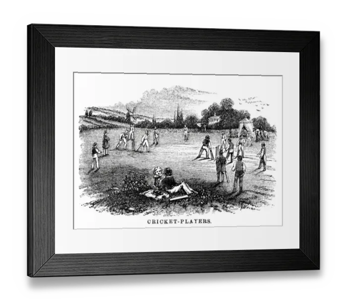 Framed Print : Cricket match Framed Print : Cricket match
