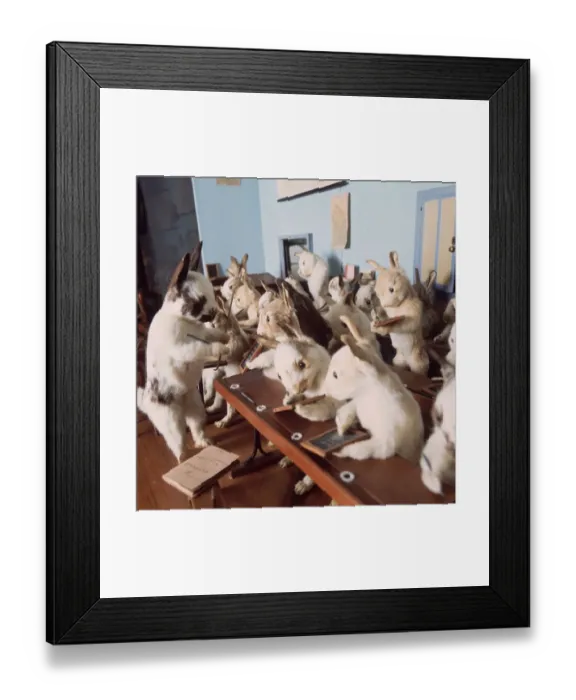 Framed Print : Museum Of Curiosity Framed Print : Museum Of Curiosity