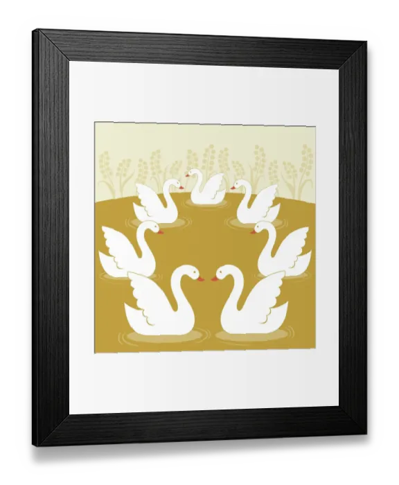 Framed Print : Seven Swans a Swimming Framed Print : Seven Swans a Swimming