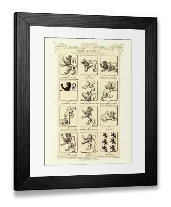Framed Print : Use of lions in heraldry and coats of arms Framed Print : Use of lions in heraldry and coats of arms