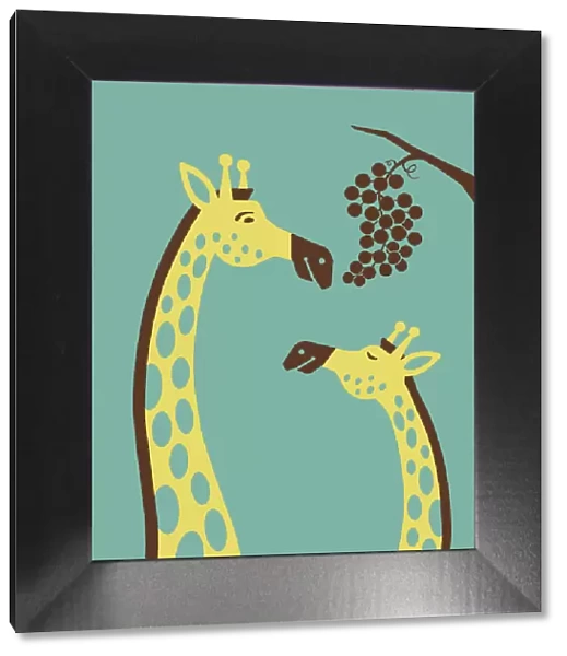 Giraffes Eating Grapes