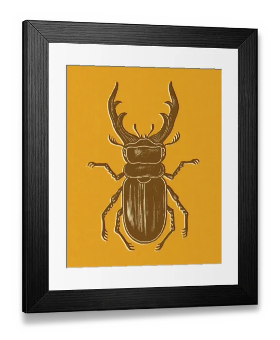 Framed Print : Beetle on Orange Background Framed Print : Beetle on Orange Background