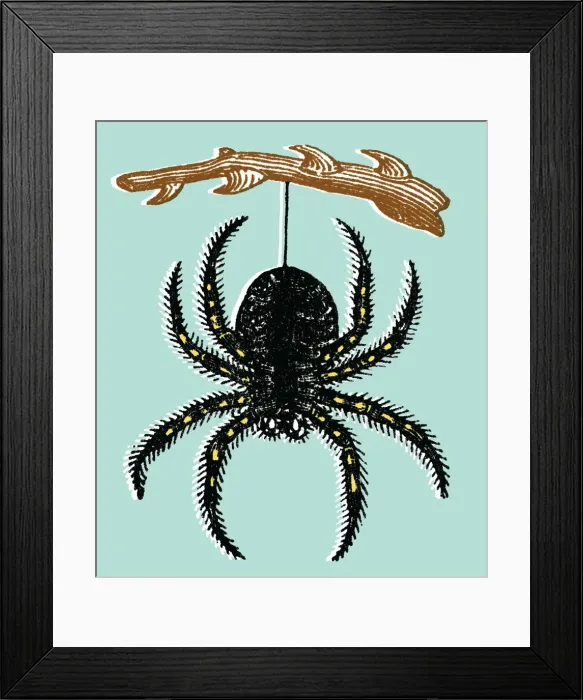Framed Print : Spider. http: / / csaimages.com / images / istockprofile / csa_vector_dsp.jpg Framed Print : Spider. http: / / csaimages.com / images / istockprofile / csa_vector_dsp.jpg
