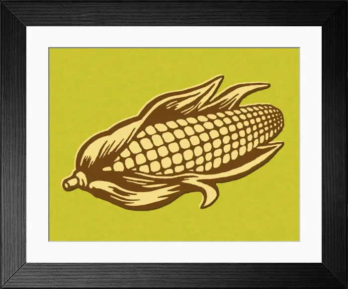 Framed Print : Ear of Corn Framed Print : Ear of Corn