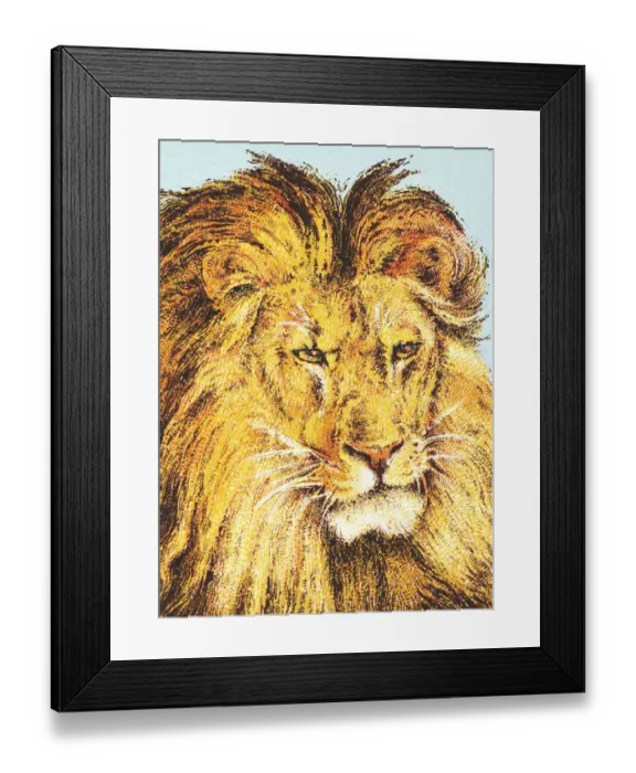 Framed Print : Lion. http: / / csaimages.com / images / istockprofile / csa_vector_dsp.jpg Framed Print : Lion. http: / / csaimages.com / images / istockprofile / csa_vector_dsp.jpg