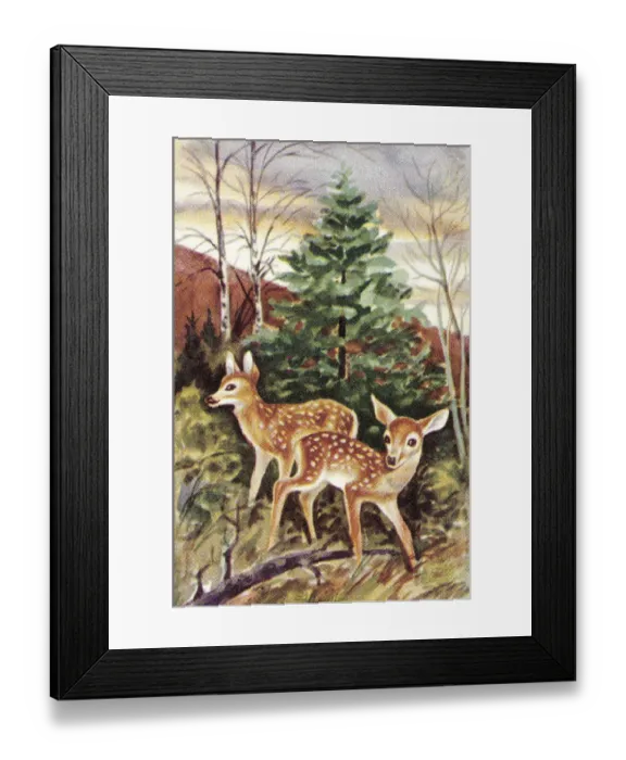 Framed Print : Deer. http: / / csaimages.com / images / istockprofile / csa_vector_dsp.jpg Framed Print : Deer. http: / / csaimages.com / images / istockprofile / csa_vector_dsp.jpg