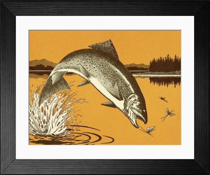Framed Print : Fish Jumping Framed Print : Fish Jumping