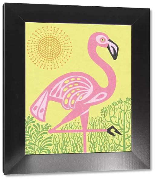 Flamingo With Sun
