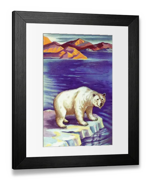 Framed Print : Polar Bear Framed Print : Polar Bear