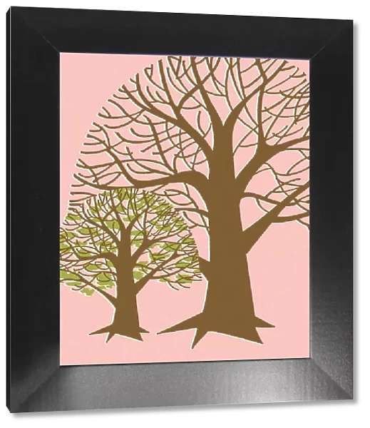 Two Trees. http: /  / csaimages.com / images / istockprofile / csa_vector_dsp.jpg