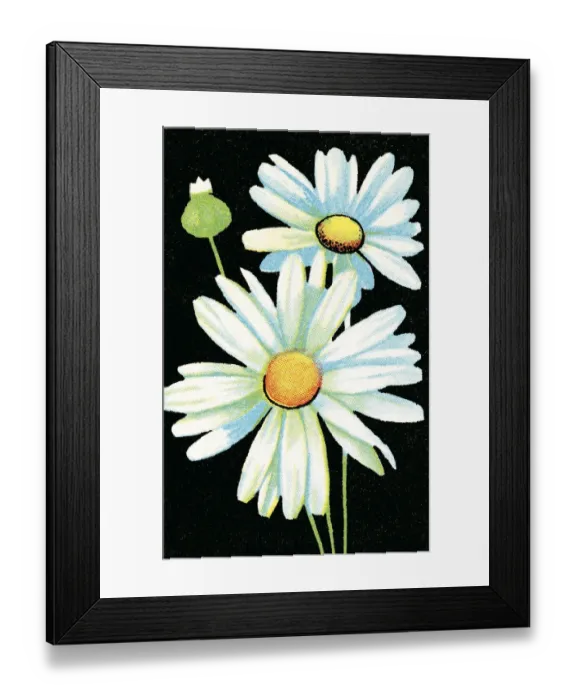 Framed Print : Flower pattern Framed Print : Flower pattern