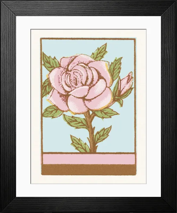 Framed Print : Rose. http: / / csaimages.com / images / istockprofile / csa_vector_dsp.jpg Framed Print : Rose. http: / / csaimages.com / images / istockprofile / csa_vector_dsp.jpg