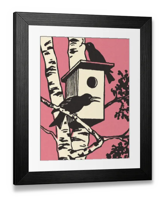 Framed Print : Two Birds and a Birdhouse Framed Print : Two Birds and a Birdhouse