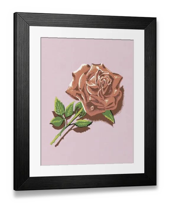 Framed Print : Red Rose. http: / / csaimages.com / images / istockprofile / csa_vector_dsp.jpg Framed Print : Red Rose. http: / / csaimages.com / images / istockprofile / csa_vector_dsp.jpg