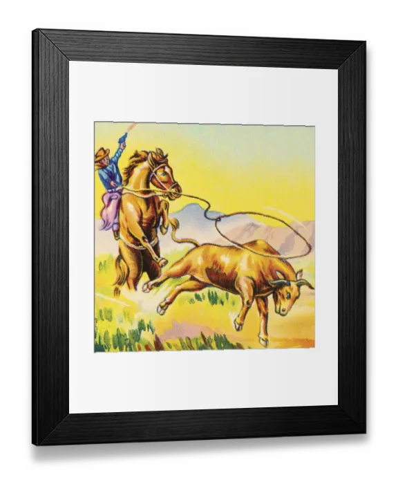 Framed Print : Cowboy Lassoing a Steer Framed Print : Cowboy Lassoing a Steer