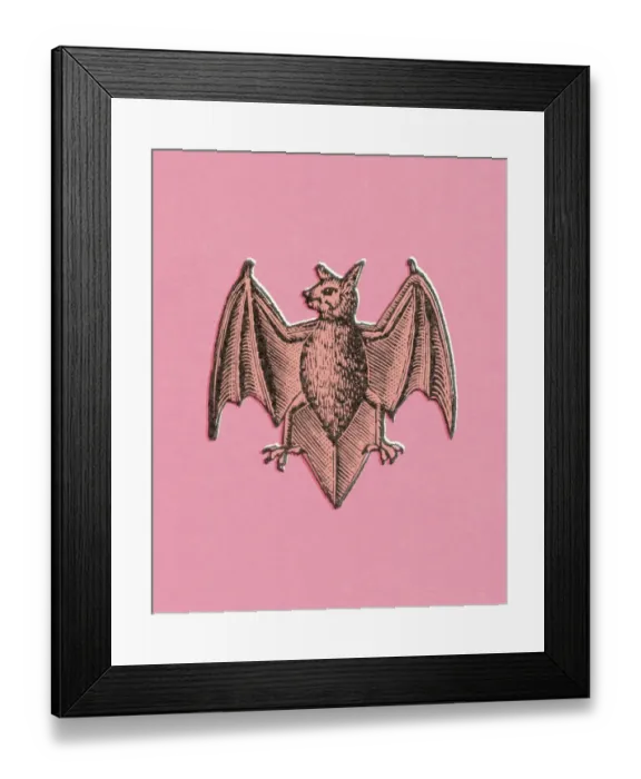 Framed Print : Bat. http: / / csaimages.com / images / istockprofile / csa_vector_dsp.jpg Framed Print : Bat. http: / / csaimages.com / images / istockprofile / csa_vector_dsp.jpg