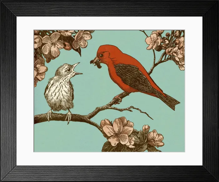 Framed Print : Two Birds on Branch Framed Print : Two Birds on Branch