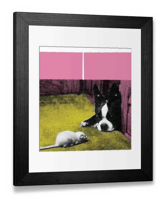 Framed Print : Boston Terrier Framed Print : Boston Terrier