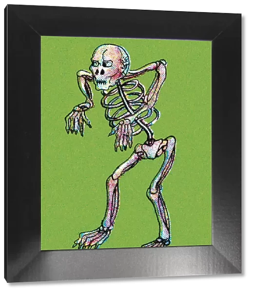 Skeleton Illustration on green backgroun