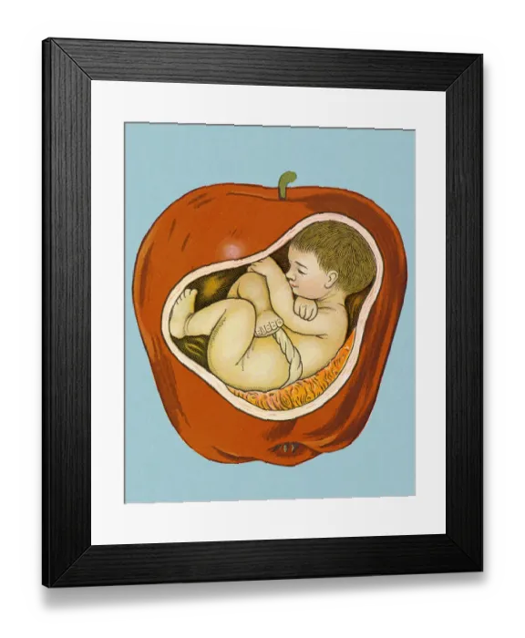 Framed Print : Baby Inside Apple Framed Print : Baby Inside Apple