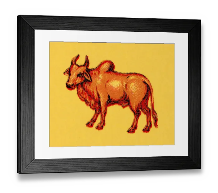 Framed Print : Cattle. http: / / csaimages.com / images / istockprofile / csa_vector_dsp.jpg Framed Print : Cattle. http: / / csaimages.com / images / istockprofile / csa_vector_dsp.jpg