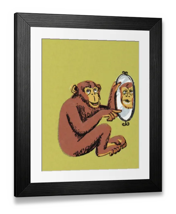 Framed Print : Monkey Pointing at Mirror