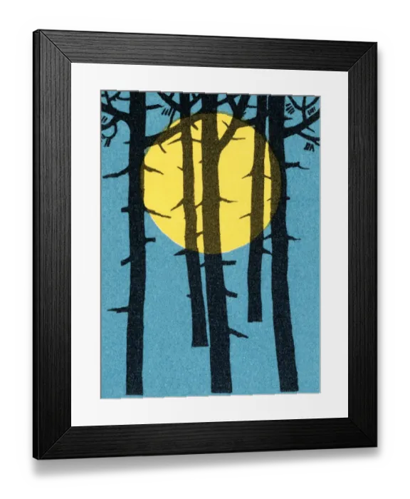 Framed Print : Sun through the trees Framed Print : Sun through the trees