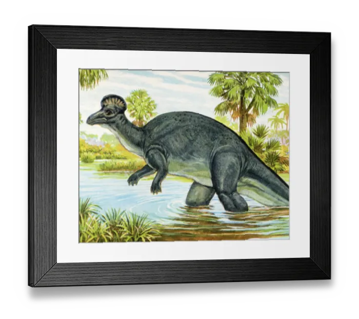 Framed Print : Dinosaur Wading in a Pond Framed Print : Dinosaur Wading in a Pond