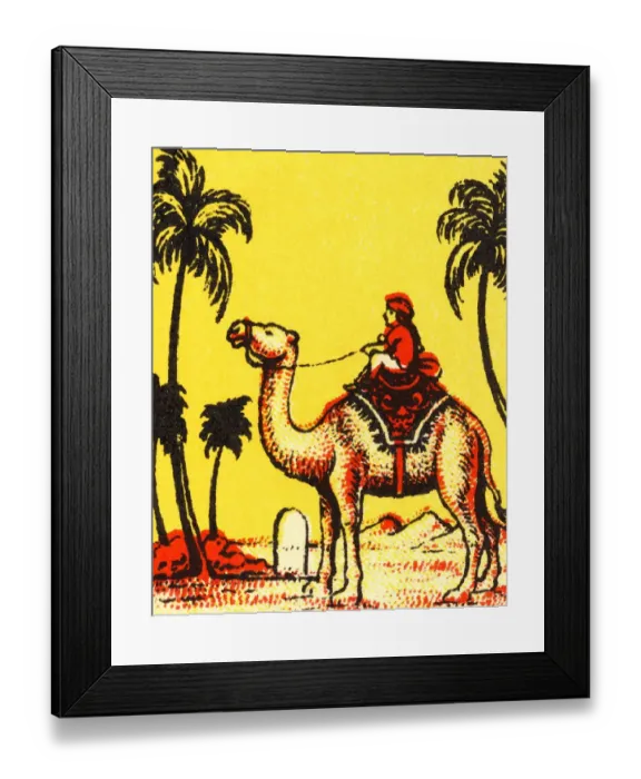 Framed Print : Man Riding a Camel Framed Print : Man Riding a Camel