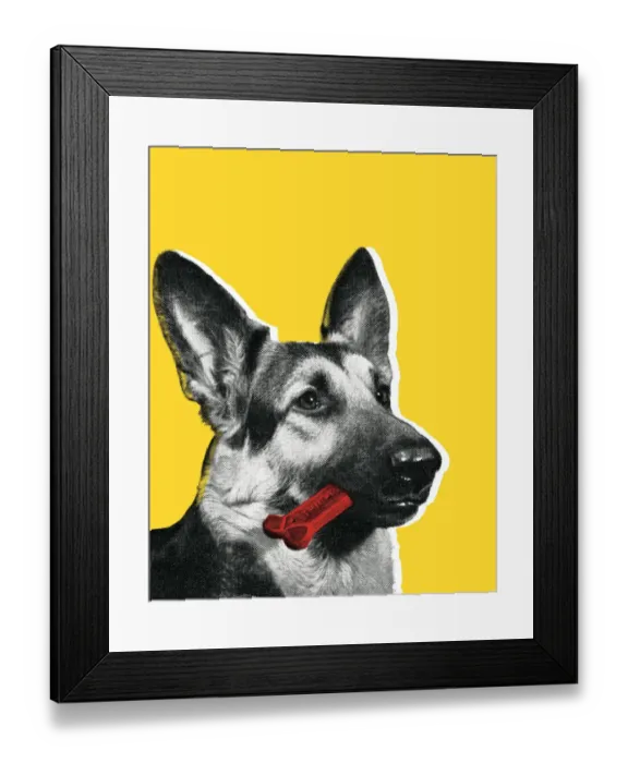 Framed Print : Doberman. http: / / csaimages.com / images / istockprofile / csa_vector_dsp.jpg Framed Print : Doberman. http: / / csaimages.com / images / istockprofile / csa_vector_dsp.jpg