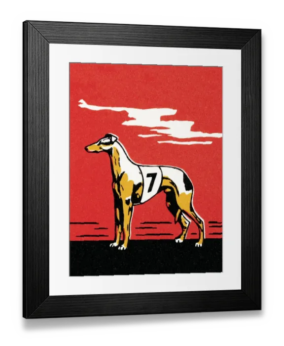 Framed Print : Greyhound. http: / / csaimages.com / images / istockprofile / csa_vector_dsp.jpg Framed Print : Greyhound. http: / / csaimages.com / images / istockprofile / csa_vector_dsp.jpg