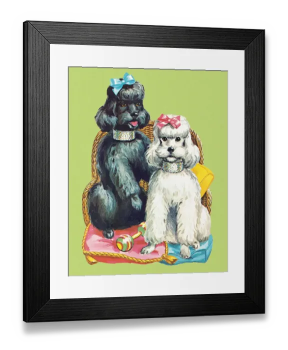 Framed Print : Poodles. http: / / csaimages.com / images / istockprofile / csa_vector_dsp.jpg Framed Print : Poodles. http: / / csaimages.com / images / istockprofile / csa_vector_dsp.jpg